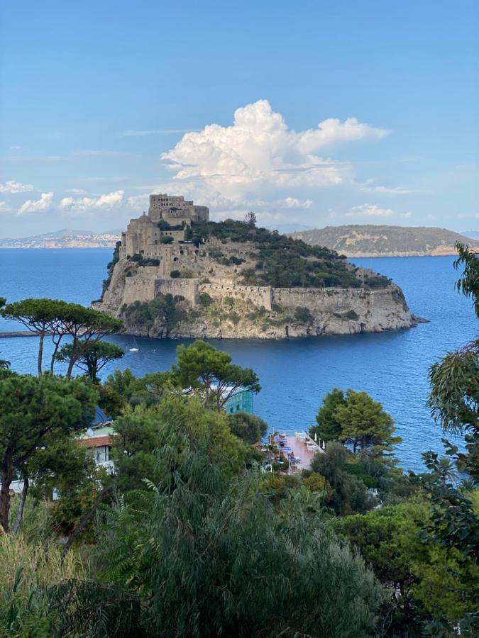Vittoria Colonna Luxury B&B Ischia Exterior photo